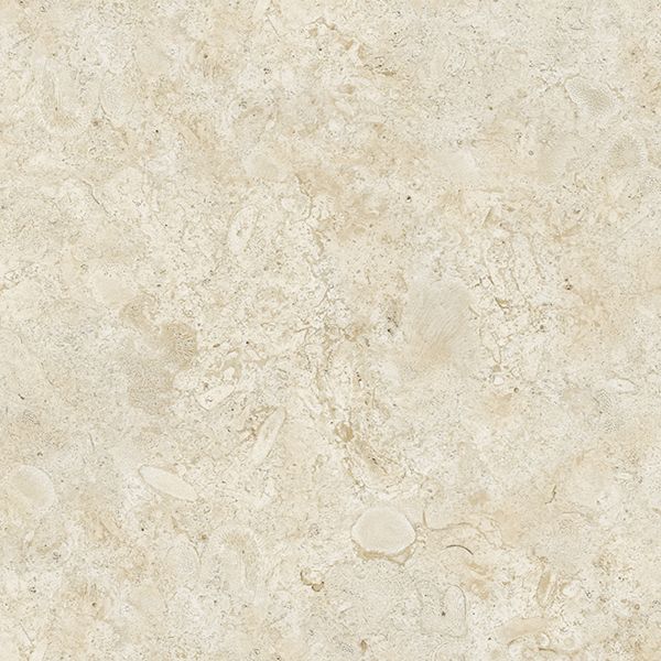 Coralina