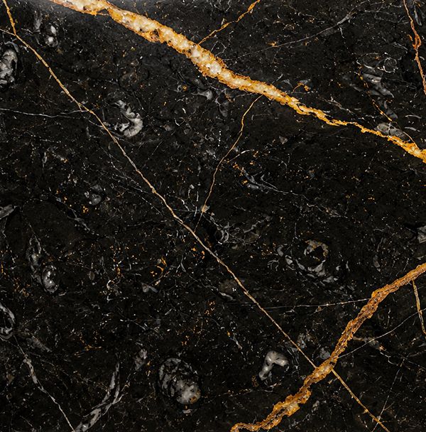 Golden Black